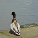 050