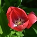 018
