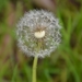 026