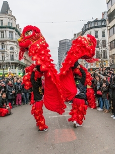 Chinees nieuwjaar (112) -p