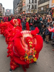 Chinees nieuwjaar (116) -p