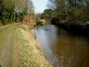 De Grote Nete