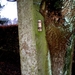 met een kaske (cache)