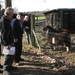 Geen langharige duitse herders