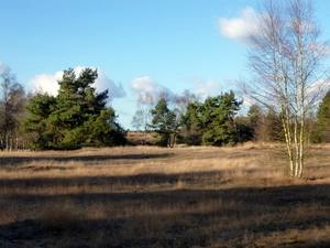 P1010873