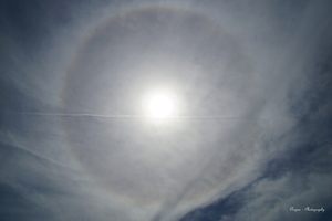 Halo ring