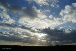 Zonnewaaier over het land