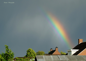 Stukje regenboog