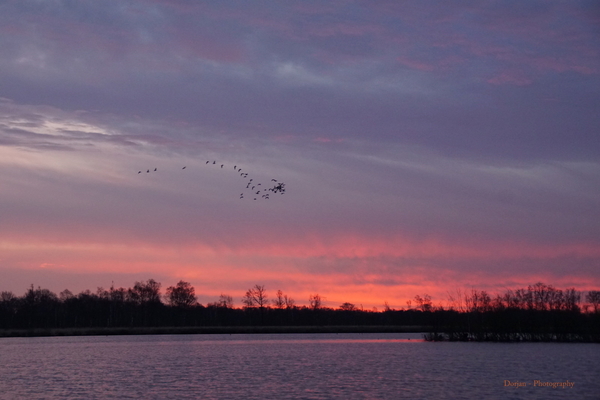 Zonsopkomst Mariapeel