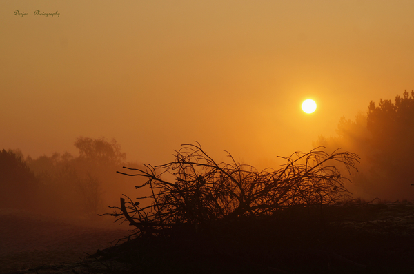 Zonsopkomst