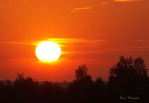 Zonsopkomst Ospelse peel