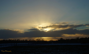 Zonsondergang Heide bij Venray