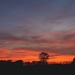 Zonsondergang Heide bij Venray