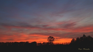 Zonsondergang Heide bij Venray