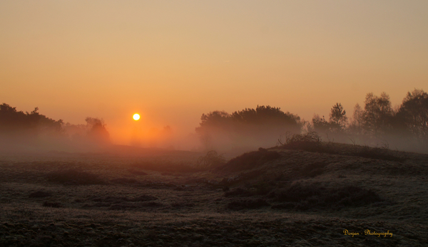 Zonsopkomst Driessenven