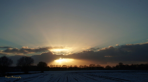 Zonsondergang Heide bij Venray