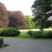 Park wandeling 009