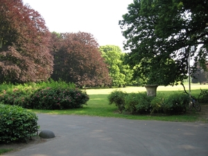 Park wandeling 009