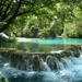 image202