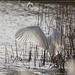 Grote Zilverreiger