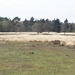 P4300005