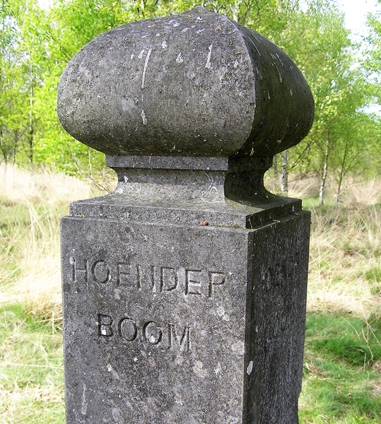 P4300017