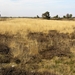 P4300022