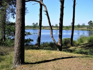 P5260004