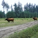 P8080004