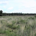 P8090009
