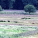 P9170008