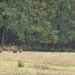 PA010005