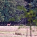 PA010006