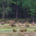 PA010042