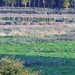 PA150016