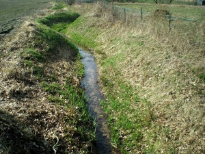 de grote Nete