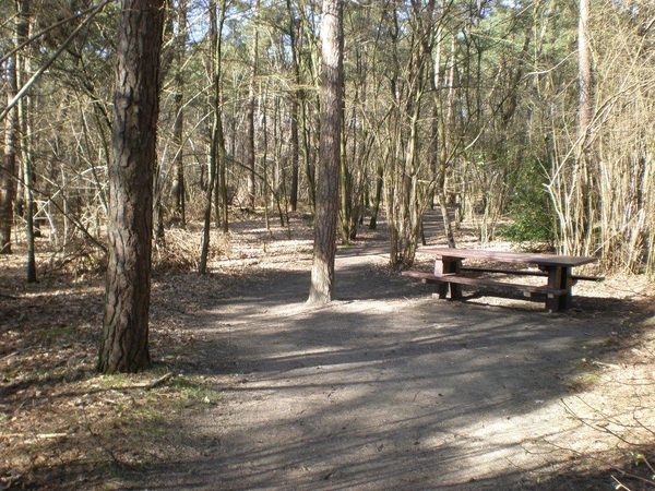 P3120063