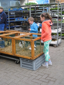 168) De konijntjes op de markt