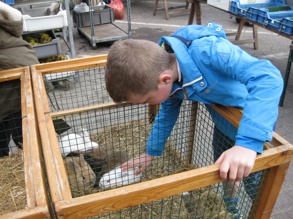 171) Ruben aan het aaien