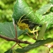 foto,s4 (482)