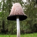 geschubde inktzwam (Coprinus comatus)