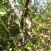 foto (10)