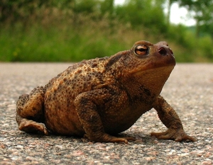 foto2 (3)
