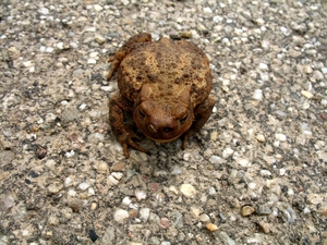foto2 (4)