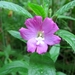 foto,s4 (95)