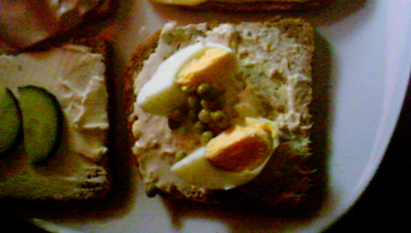 sneetje zemelen met tonijnsalade en ei