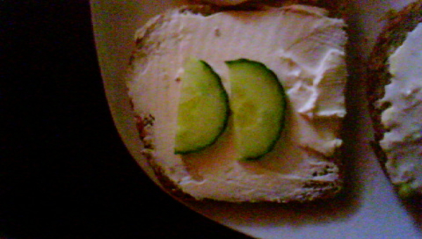 sneetje zemelen met philadelphia light en komkommer