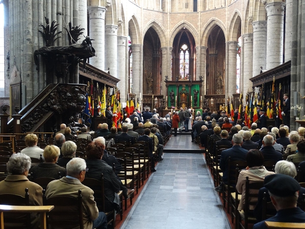 12068512_857727824348454_5312825324223093821_o