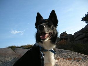 ploumanach 2008 11-10-08 027