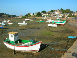 ploumanach 2008 11-10-08 070